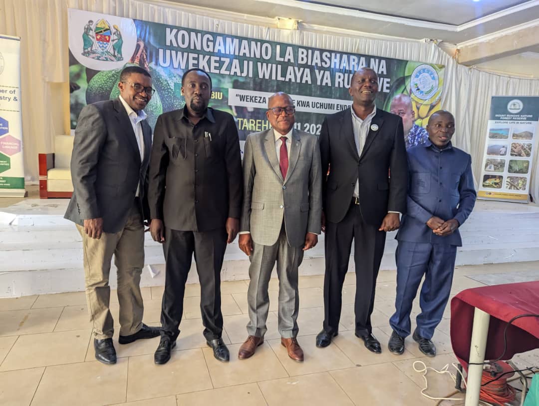 International Partnership Development