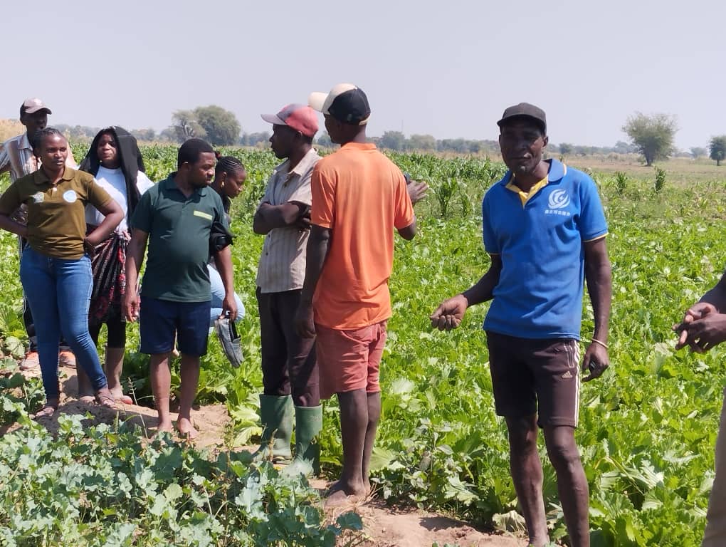Farmer Training and Development Programs